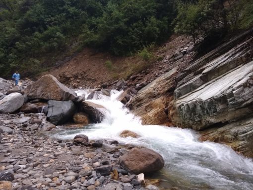 My Neeman’s Adventure My Neeman’s Adventure